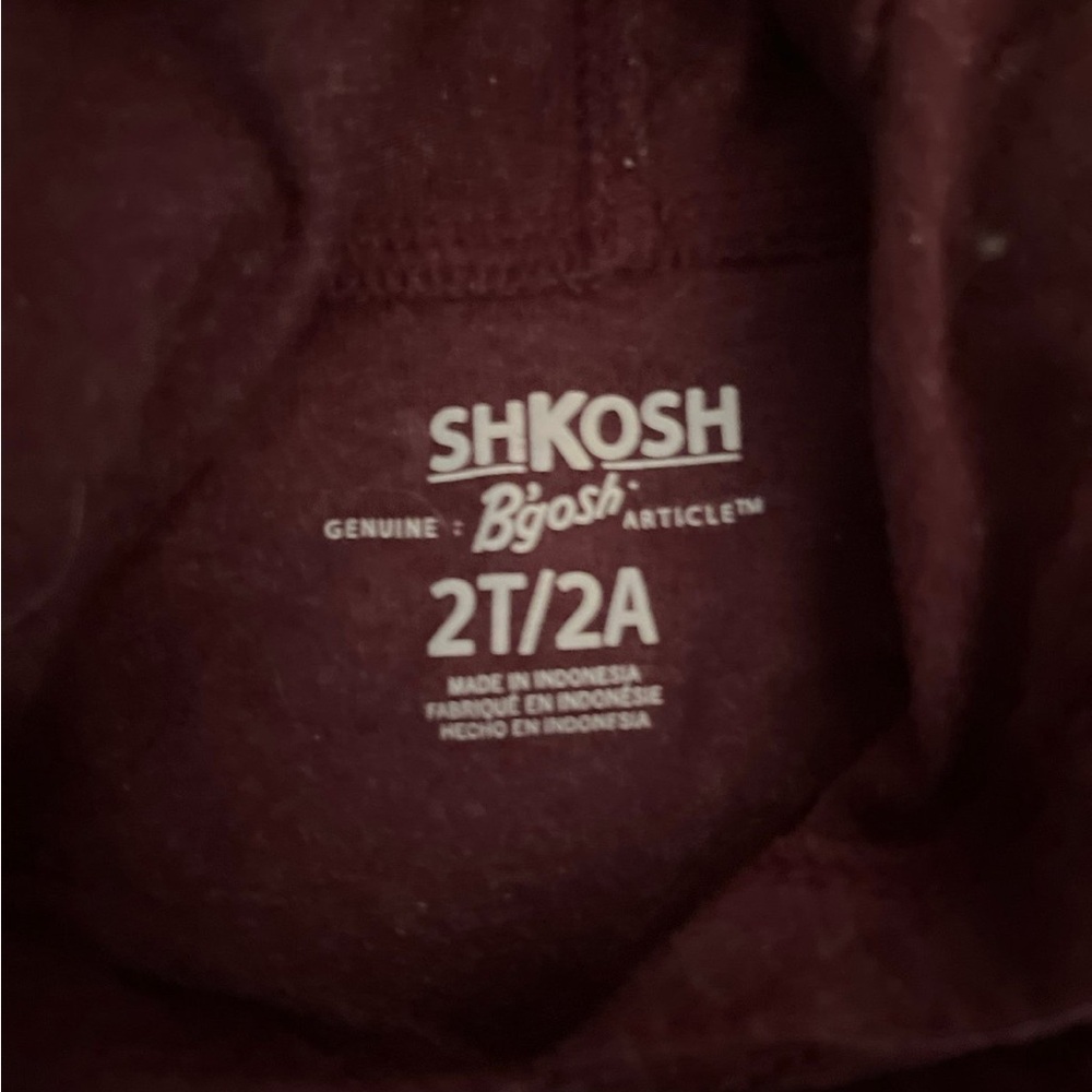 Oshkosh & Carters Toddler 2T boys bundle hooded tees & hoodie sweatshirt - Picture 5 of 7